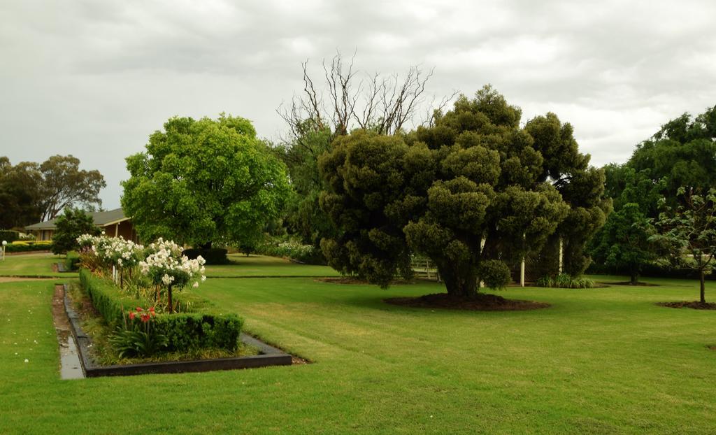 Golfview Motor Inn Wagga Wagga Exterior foto